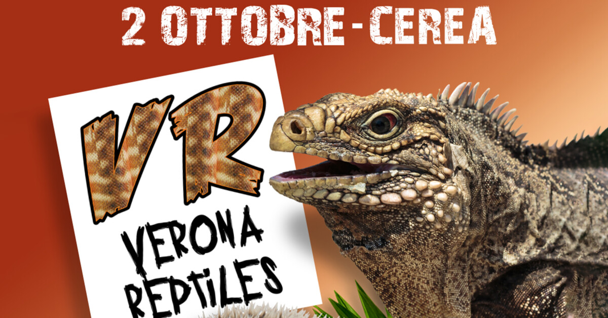 Verona reptiles