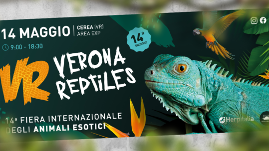Verona Reptiles 2023 - 14° edizione