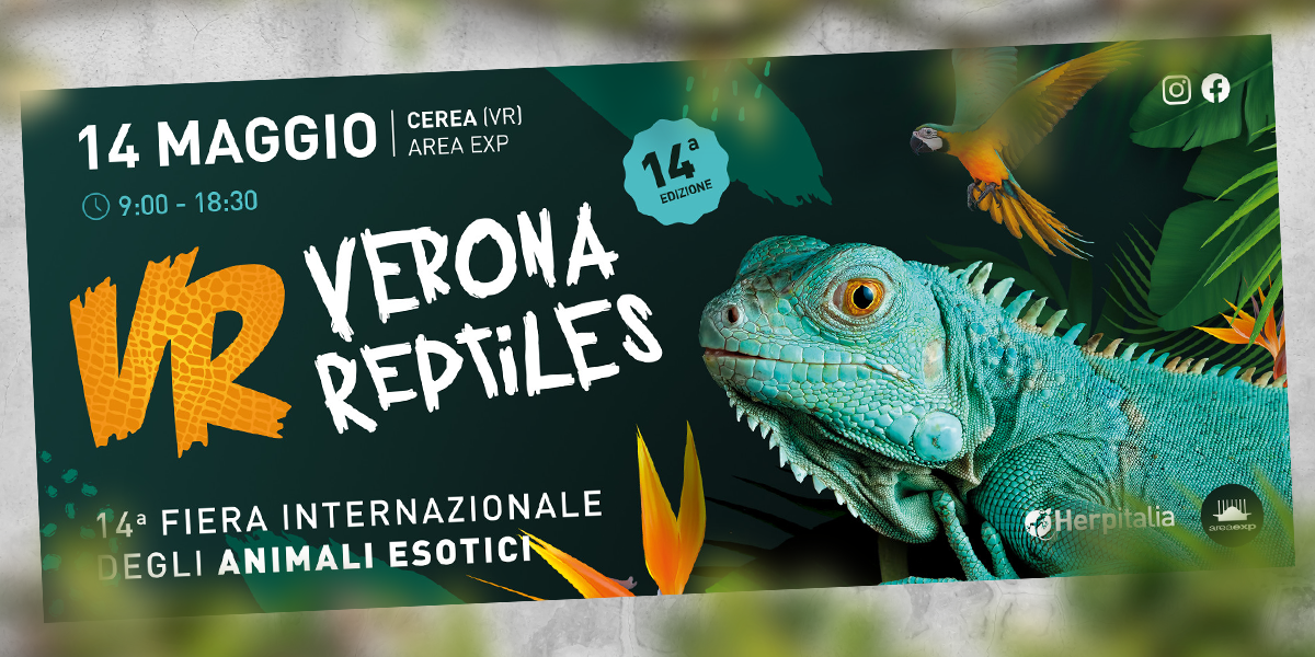 Verona Reptiles 2023 - 14° edizione