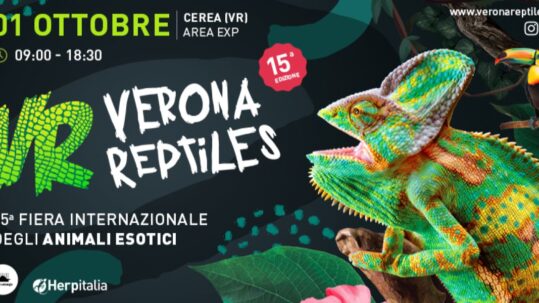 Verona Reptiles torna in Area Exp Cerea per la 15° edizione.
