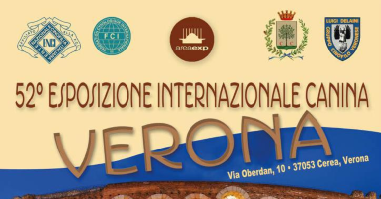 Braccialetto con impronta di zampa personalizzato